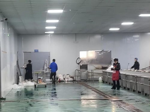 鹿哈毛肚爆單三千萬 品質(zhì)危機(jī)與供應(yīng)鏈誰人兜底？